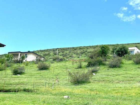 Land, Lisi Lake
