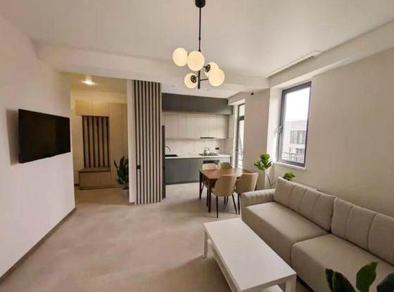 Apartment, Krtsanisi